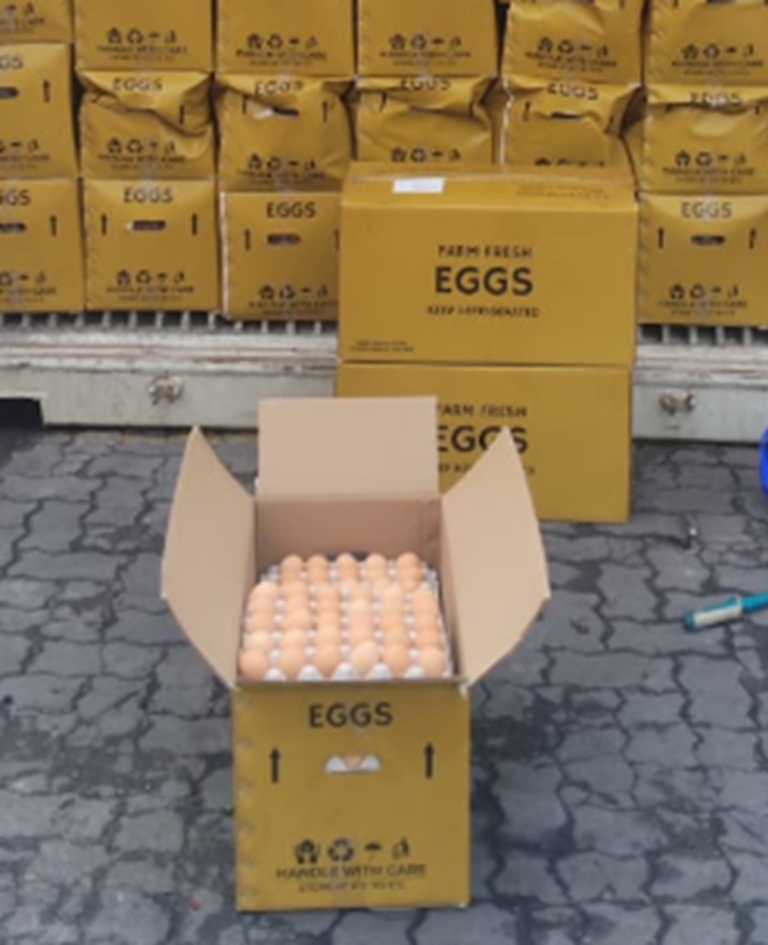 eggs