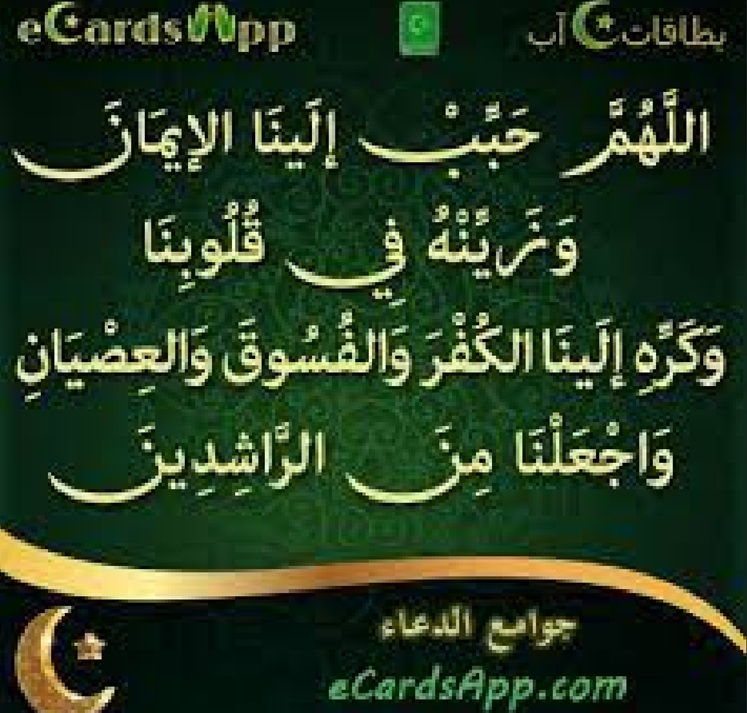 މީޑިއާ މީޑިއާ